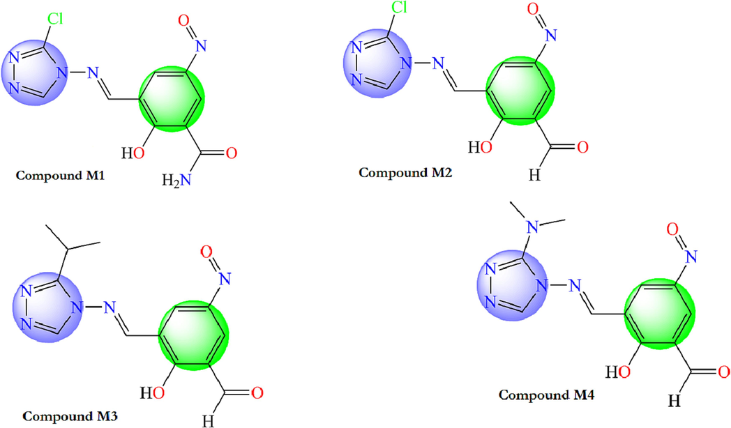 Chemical structures of the new proposed 4-amino-1,2,4-triazole molecules.