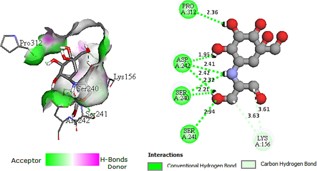 Representation of the 3D (left) and 2D (right) interactions of the voglibose drug with 3a4a receptor.