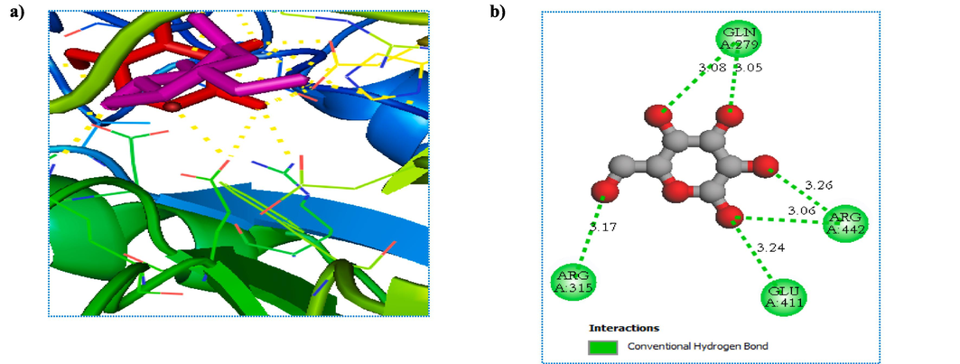 A) re-docking pose with the rmsd value of 0.35 Å (Red = Original, Magenta = Docked), b) Docking interactions of the co-crystalized ligand.