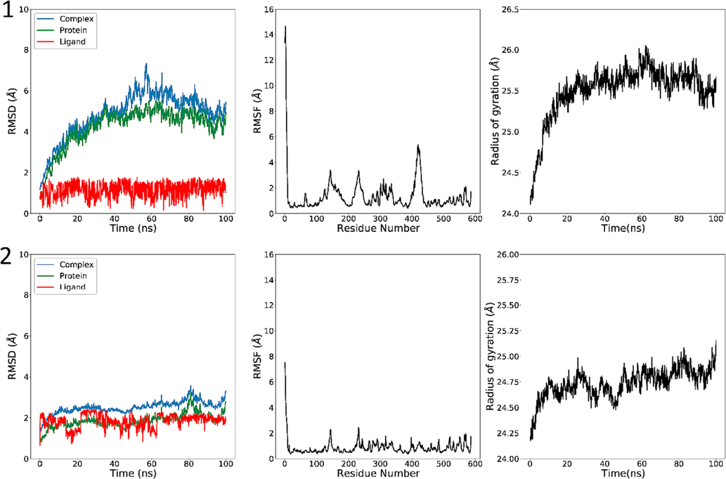 RMSD (left), RMSF (middle) and Rg (right) of the investigated complexes in a MD simulation time of 100 ns. C25 (top) and M1 (bottom).