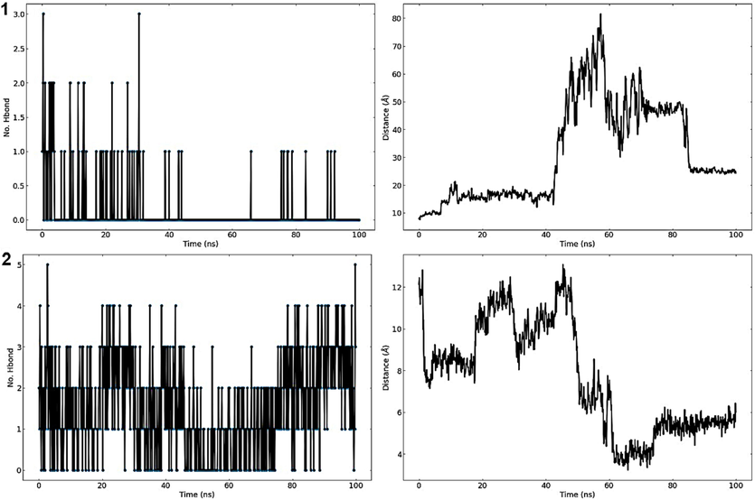 Protein-ligand hydrogen bonds (left) and average distance between protein and ligand (right) of the complexes studied during the 100 ns simulation. C25 (top) and M1 (bottom).