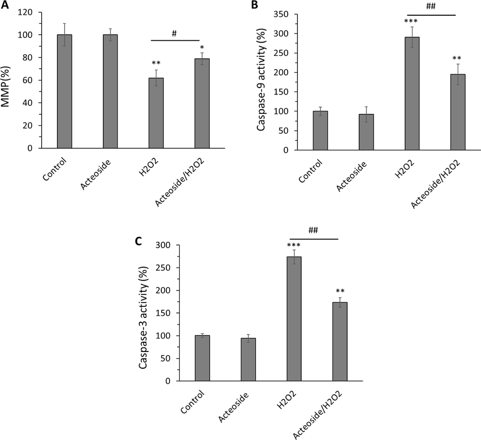Antiapoptotic effects of acteoside against H2O2-triggered apoptosis in H9c2 cardiomyocyte cells detected by (A) MMP, (B) caspase-9 activity and (C) caspase-3 activity assays, H9c2 cells were pretreated with 10 μM of acteoside for 12 h followed by washing and treatment with H2O2 (400 μM) for an additional 2 h. Data were presented as mean ± SD of three experiments. *P < 0.05, **P < 0.01, ***P < 0.001 relative to untreated control sample, #P < 0.05, ##P < 0.01, relative to H2O2-triggered group.