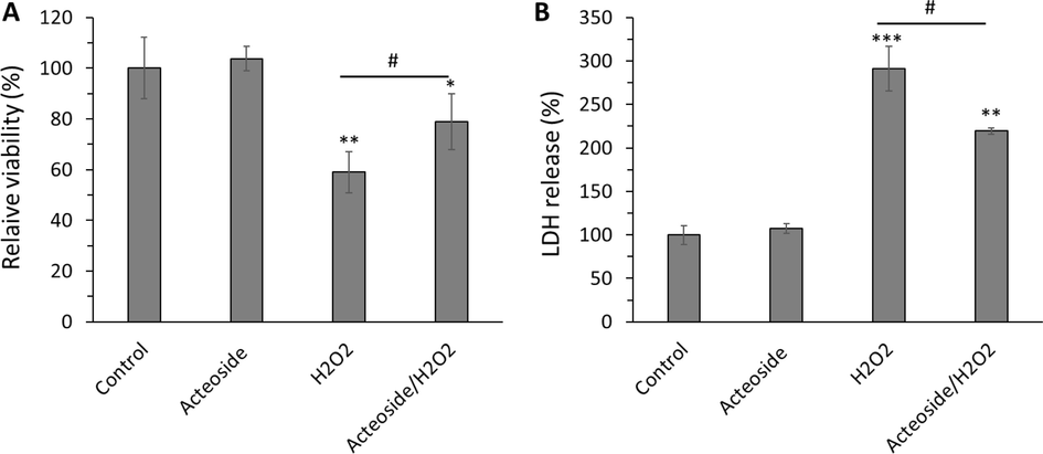Protective effects of acteoside against H2O2-triggered cytotoxicity of H9c2 cardiomyocyte cells detected by (A) MTT and (B) LDH release assays. H9c2 cells were pretreated with 10 μM of acteoside for 12 h followed by washing and treatment with H2O2 (400 μM) for an additional 2 h. Data were presented as mean ± SD of three experiments. *P < 0.05, **P < 0.01, ***P < 0.001 relative to untreated control sample, #P < 0.05 relative to H2O2-triggered group.