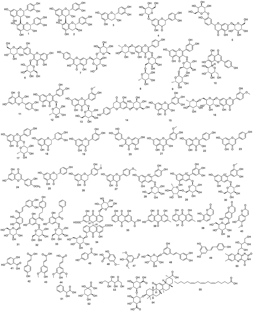 Chemical structures identified by LC-MS/MS.