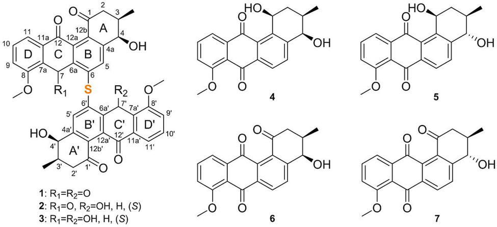 Structure of compounds 1–7.