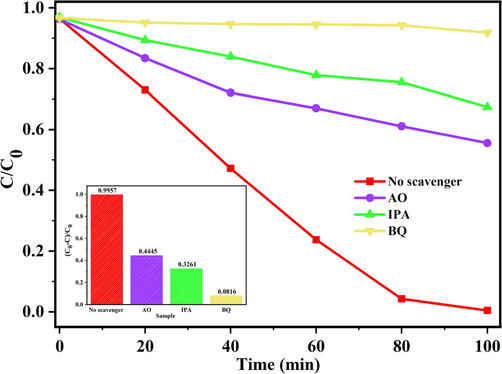 Effect of radical scavengers on RhB photocatalytic degradation of MB-10.