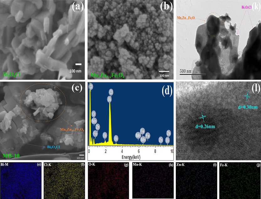 (a)-(c) SEM images of Bi3O4Cl, MnxZn1-xFe2O4 and MB-10; (d) EDS spectrum of MB-10; (e)-(j) EDS elemental mapping of Bi, Cl, O, Mn, Zn and Fe; (k) TEM image of MB-10; (l) HRTEM image of MB-10.