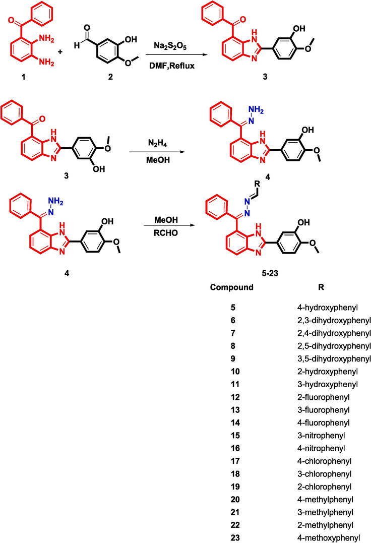 Synthesis of Schiff base derived benzimidazole analogs.