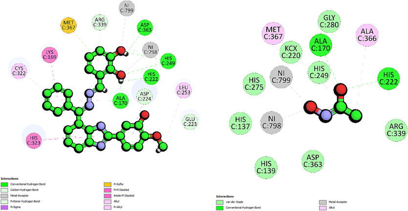The 2D-interaction diagram of compound 6 and acetohydroxamic acid interacting with active site of urease enzyme.