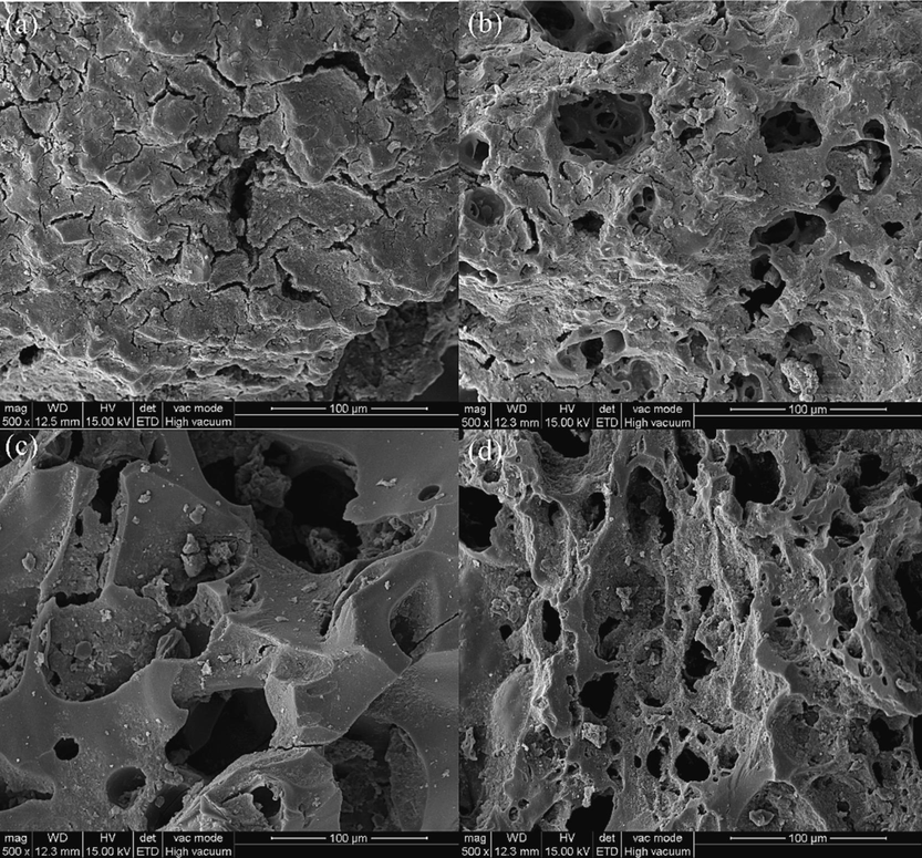 SEM images of activated carbon before and after regeneration. (a) Initial carbon; (b) 40 kHz, 1.0 L/min, 10 min, 360 W regenerated carbon; (c) 80 kHz, 1.0 L/min, 10 min, 360 W regenerated carbon; (d) 120 kHz, 1.0 L/min, 10 min, 360 W regenerated carbon.