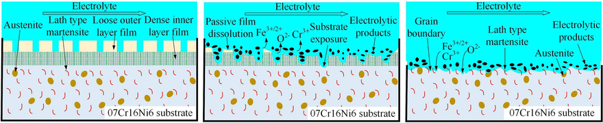 Schematic diagram of the electrochemical dissolution of 07Cr16Ni6 alloy in NaNO3 solution.