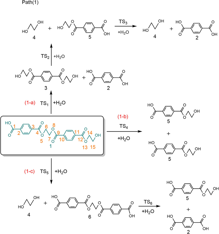Possible reaction paths for PET dimer hydrolysis.