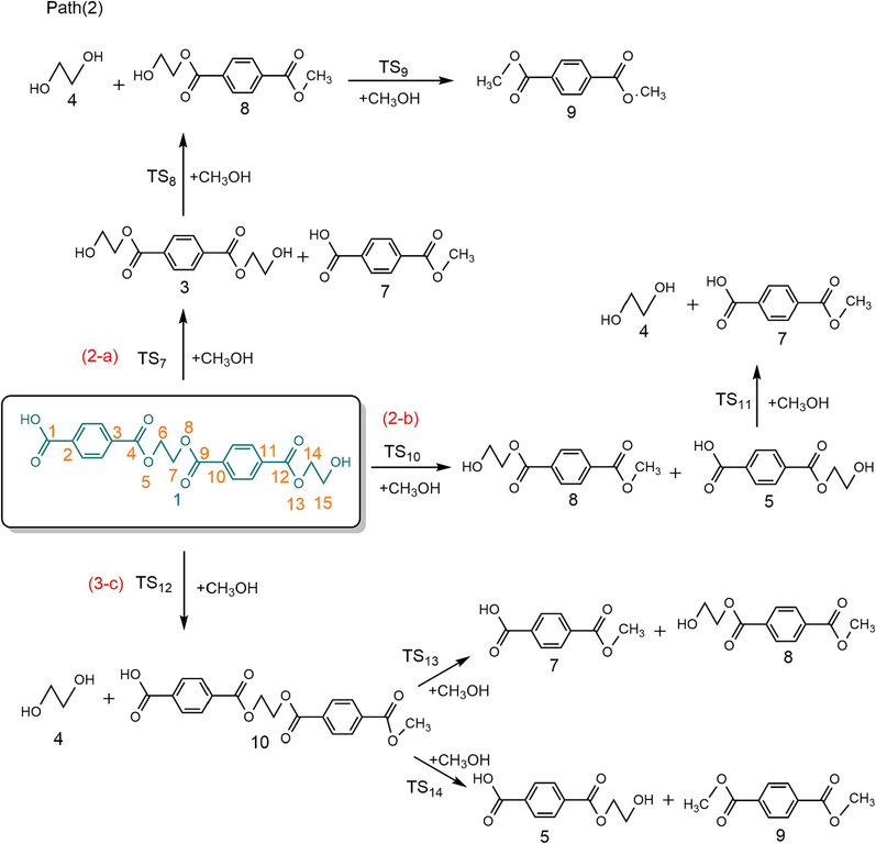 Possible reaction paths for ethylene terephthalate dimer alcoholysis.