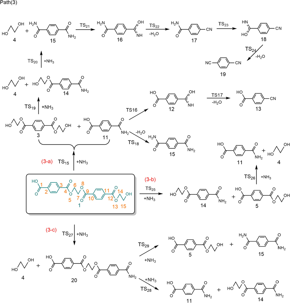 Possible reaction paths for ammonolysis of PET dimer.