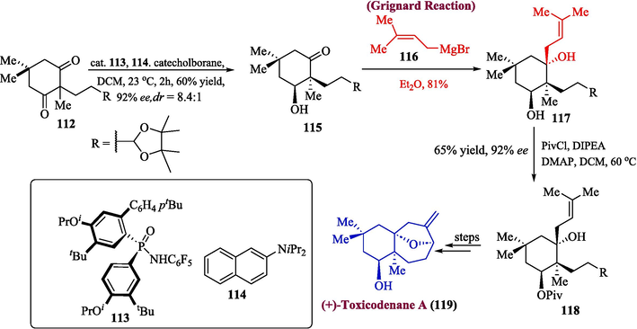 Synthesis of (+)-toxicodenane A 119.
