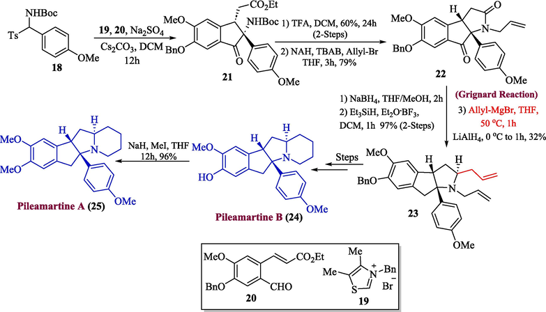 Synthesis of pileamartine alkaloids 24 and 25 from Grignard reaction.