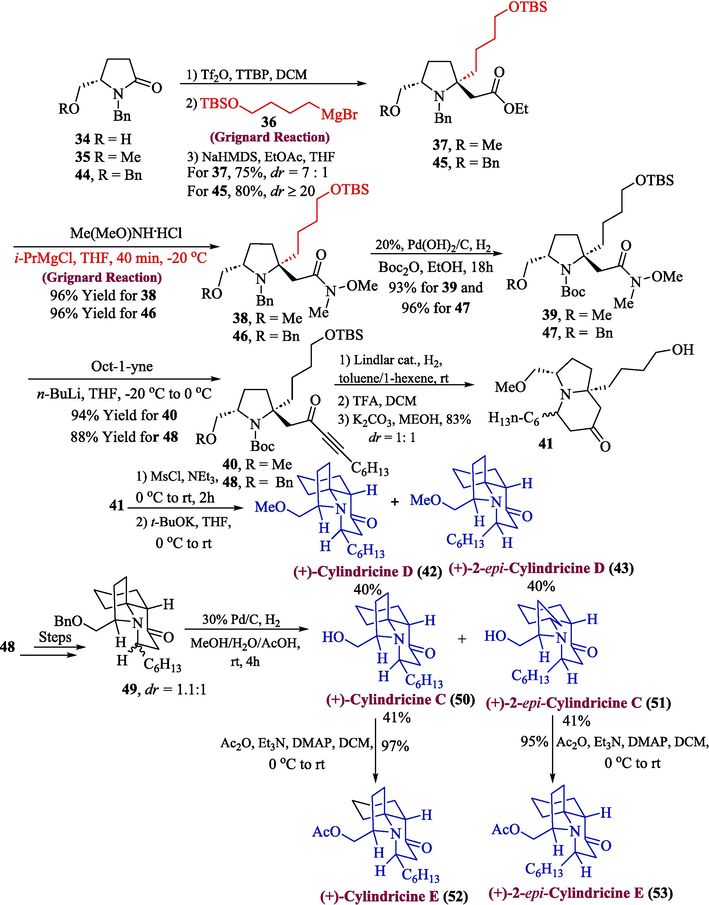 Synthesis of 2-epi-cylindricine D 43, (+)-cylindricine D 42 and cylindricine 50–53 from Grignard reaction.