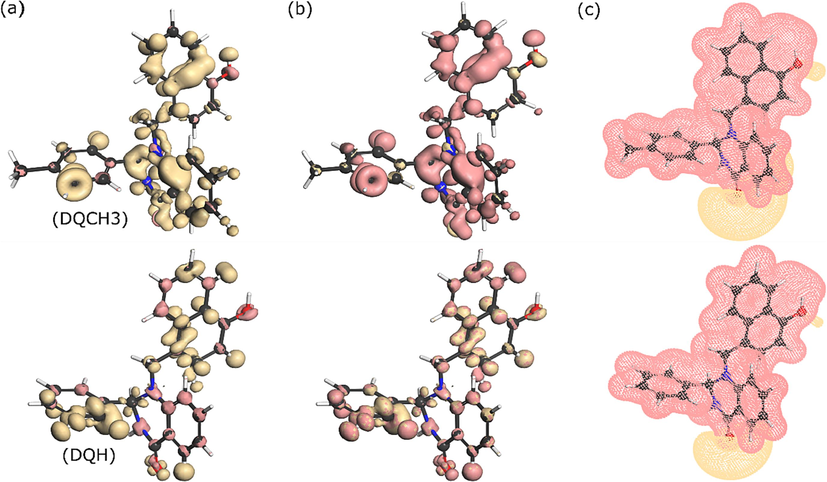 Iso-surfaces of Fukui functions plotted on molecular structures of DQ-H and DQ-CH3 (a) f+, (b) f- and (c) molecular electrostatic potential maps.