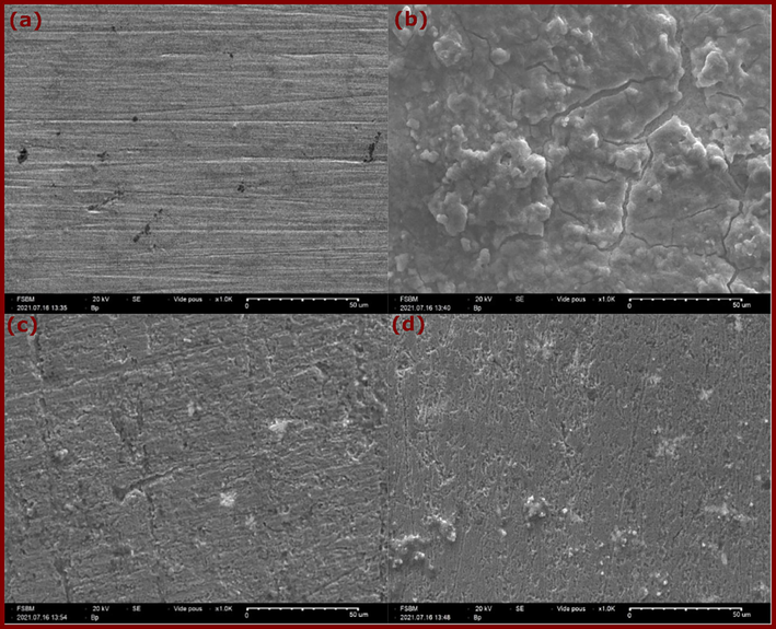 SEM images of copper (a) polished, (b) after 3 days of immersion in 3.5 % NaCl, (c) and (d) after immersion in 3.5 % NaCl with 10−3 mol/L of DQ-H and DQ-CH3, respectively.