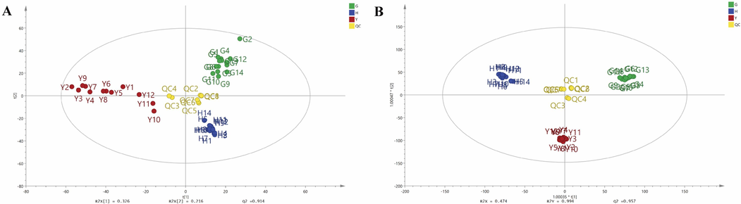 The score plots of PCA (A) and OPLS-DA (B) of fruits, flowers and leaves of Forsythia suspensa samples. Fruits, G1-G14; Flowers, H1-H14; Leaves, Y1-Y12; Quality control, QC1-QC8.