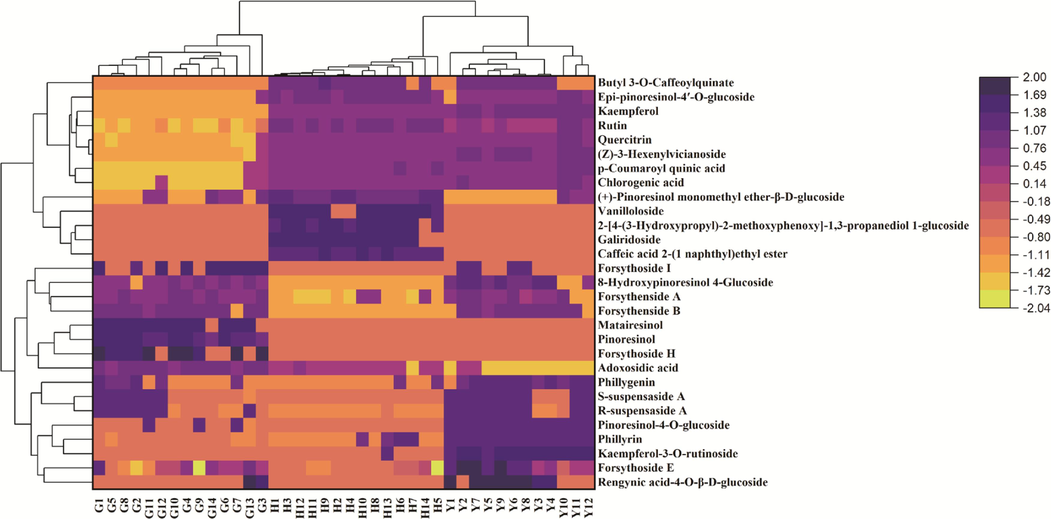 Heatmap analysis of 29 different metabolites in fruits, flowers and leaves of Forsythia suspensa. Fruits, G1-G14; Flowers, H1-H14; Leaves, Y1-Y12.