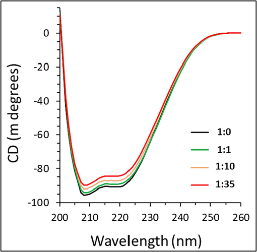 Exploring the effect of different concentrations of ellagic acid on secondary structure of HTf, determined by CD study.