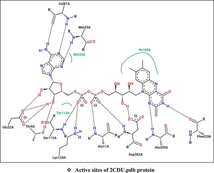 Active sites of antioxidant (2CDU.pdb), antibacterial (2XCT.pdb), and antifungal (5TZ1.pdb) proteins towards Flavin-adenine dinucleotide (Above), Ciprofloxacin (Left), and Tetrazole-based antifungal drug candidate VT1161 (Right), respectively.