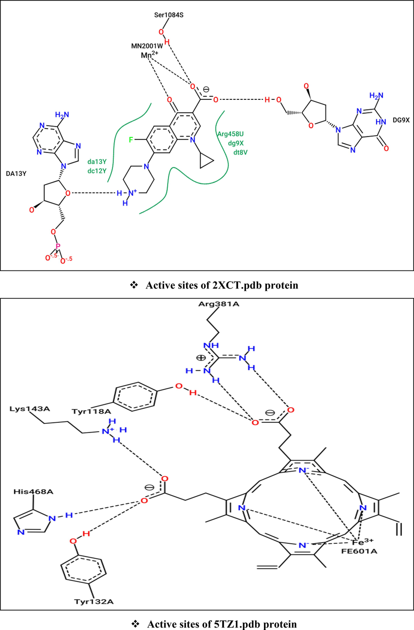 Active sites of antioxidant (2CDU.pdb), antibacterial (2XCT.pdb), and antifungal (5TZ1.pdb) proteins towards Flavin-adenine dinucleotide (Above), Ciprofloxacin (Left), and Tetrazole-based antifungal drug candidate VT1161 (Right), respectively.