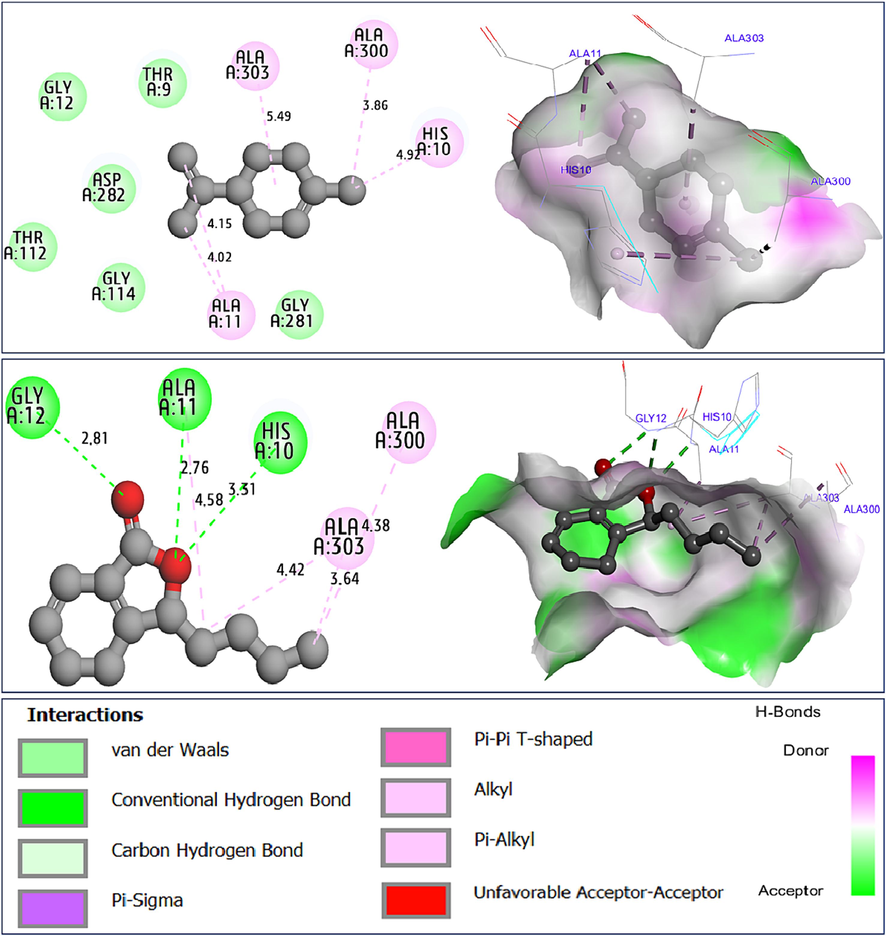 Intermolecular interactions in two and three dimensions, resulted between limonene (C2) and sedanenolide (C14) towards NADPH oxidase protein from Lactobacillus sanfranciscensis (2CDU.pdb).