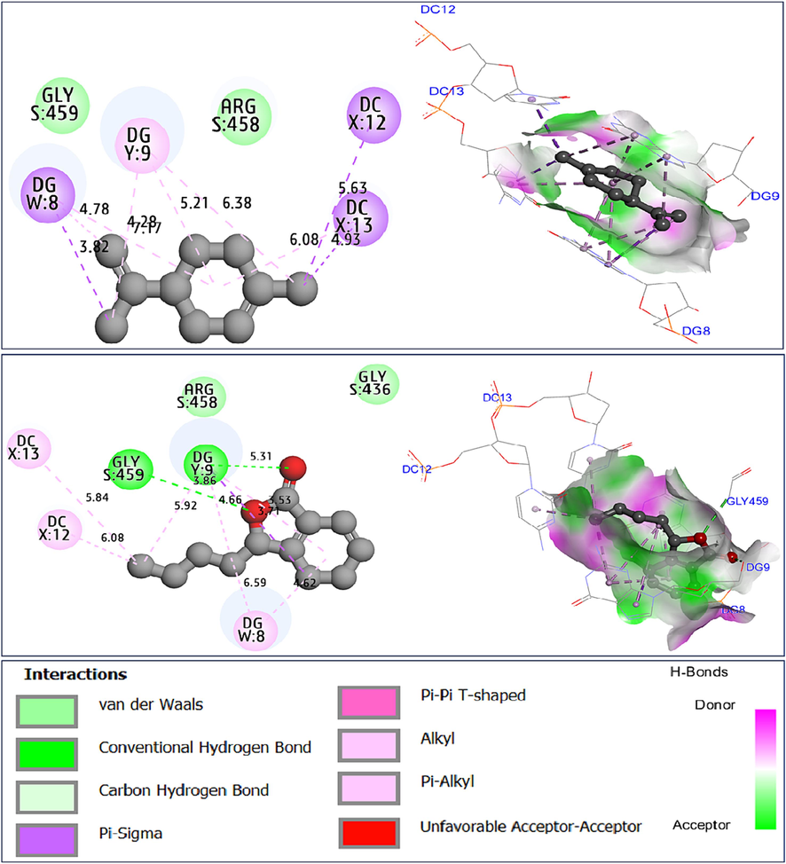 Intermolecular interactions in two and three dimensions, resulted between limonene (C2) and sedanenolide (C14) towards antibiotic protein from Staphylococcus aureus (2XCT.pdb).