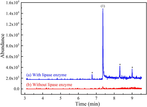 Extracted-ion chromatograms of m/z 295 (flunixin methyl ester) from full scan GC–MS (m/z range: 40–400) of alkaline LLE of negative quality control horse urine spiked with flunixin at 200 mg L−1 and 0.4 % v/v methanol: (a) with lipase enzyme E2 added and (b) without lipase enzyme E2. Peak identification: (1) flunixin methyl ester artifact, RT = 7.36 min; * (unidentified peaks).