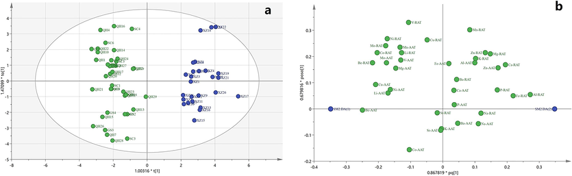 Comparison of OPLS-DA results from multi-elements of A. tanguticus. Score plot (a), loading plot from OPLS-DA (b).