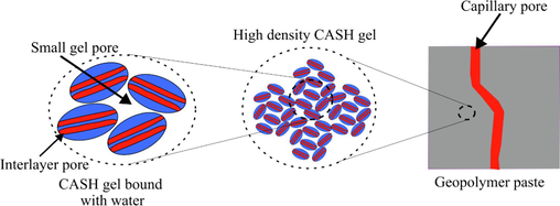 Distribution of gel pores and capillary pores.