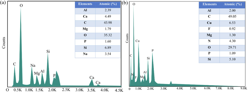 EDS of GMK25S1-2Hap; (a) before and (b) after adsorption of Cu(II)/CIP.