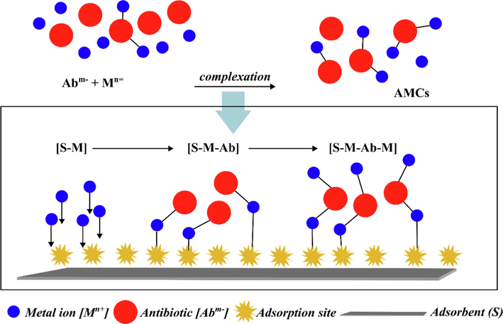 Formation of ternary and quaternary complexes (Khurana et al., 2021).