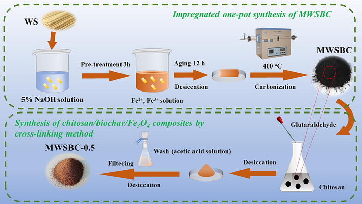 Schematic diagram of the preparation process of MWSBC-0.5.