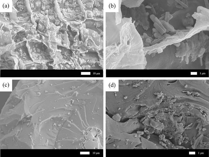 SEM images of WSBC (a and b), MWSBC-0.5 (c and d).