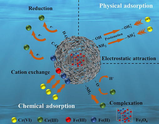 Schematic of adsorption mechanism.