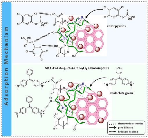 The adsorption mechanism of CPF and MG on the prepared SBA-15-GG-g-PAA/CoFe2O4 mesoporous adsorbent.