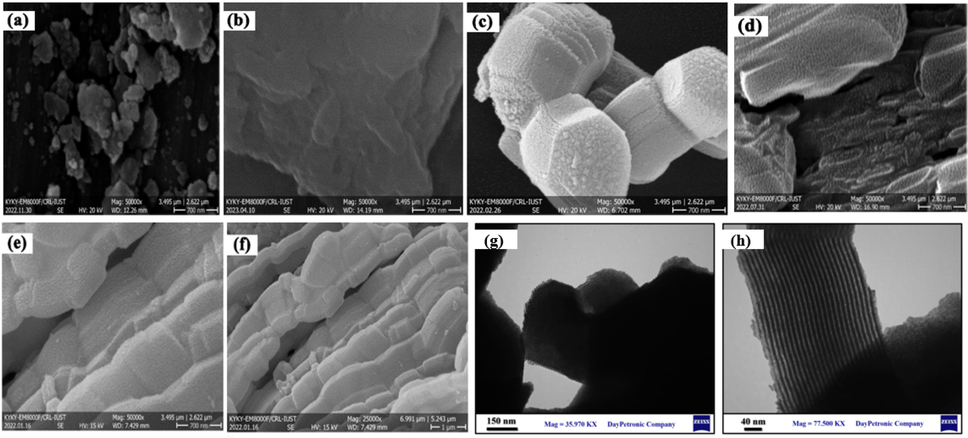 The FESEM images of (a) CoFe2O4, (b) GG, (c) SBA-15, (d) GG-g-PAA/CoFe2O4, (e,f) SBA-15-GG-g-PAA/CoFe2O4 mesoporous adsorbent, and TEM images of (g,h) SBA-15-GG-g-PAA/CoFe2O4 mesoporous adsorbent.