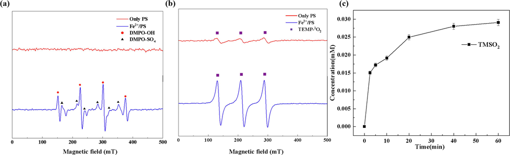 EPR spectra of (a) DMPO-OH and DMPO-SO4, (b) TEMP-1O2 in RBV Fe2+/PS oxidation process and (c) TMSO2 concentration for FeO2+ measure, for FeO2+ measure test, the [RBV]0 = 2.0 mg/L, initial pH = 3,[PS]0 = 4.0 mM, [PS/Fe2+] = 2/1, [CA]0 = 0.5 mM, add in Fe2+ in twice, [TMSO]0 = 0.5 mM).