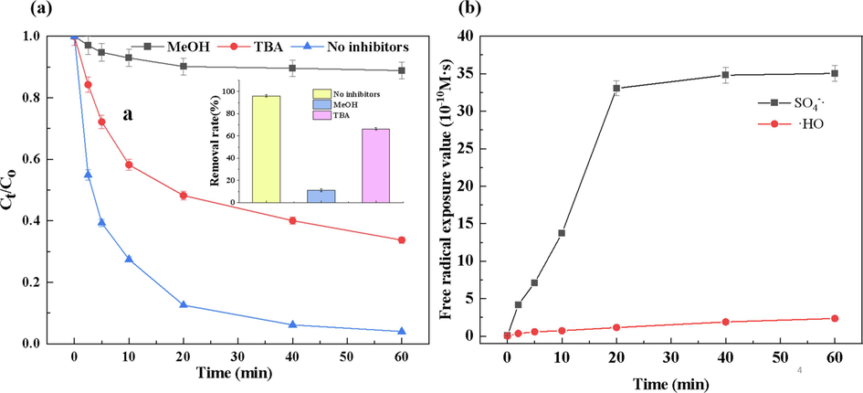 (a) Effect of different alcohols on the degradation rate of RBV ([RBV]0 = 2.0 mg/L, initial pH = 3,[PS]0 = 4.0 mM, [PS/Fe2+] = 2/1, [CA]0 = 0.5 mM, add in Fe2+ in twice, [MeOH] = 2.0 M, [TBA] = 2.0 M), (b) Radical tracer experiments of SO4-· and OH·.