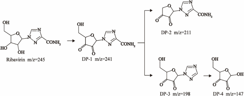 Possible RBV degradation pathway.