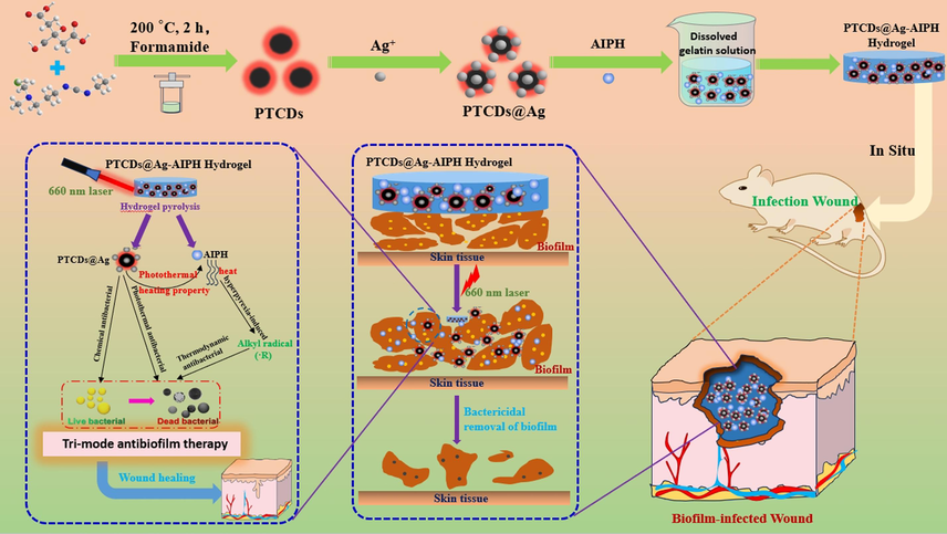 Schematic illustration for the synthesis of photothermal-triggered release of alkyl radicals hydrogel (PTCDs@Ag-AIPH Hydrogel) and its synergistic anti-bacterial and biofilm activities in vivo.