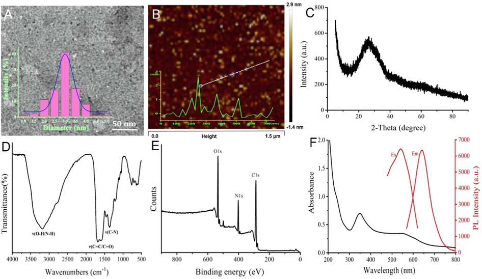 (A) TEM diagram of PTCDs (inset: diameter distribution of PTCDs, scale bar is 50 nm); (B) AFM image of PTCDs (inset: height profile of PTCDs); (C) XRD pattern of PTCDs; (D) FT-IR spectrum of PTCDs; (E) XPS spectrum of PTCDs; (F) The UV–Visible absorption spectrum, best excitation spectrum and best emission spectrum of PTCDs.