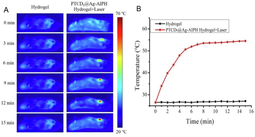 (A) Thermal images of mice treated with Hydrogen and PTCDs@Ag-AIPH hydrogel under 660 nm laser irradiation for different time; (B) The corresponding photothermal temperature curves.