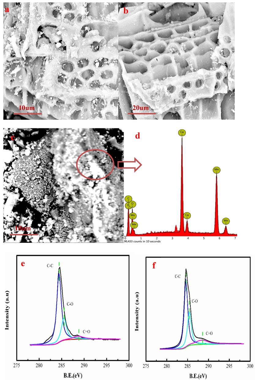 The surface morphology and micro composition of KM/biochar-1:1(a-d), C 1 s XPS spectra of the original biochar (e) and KM/biochar-1:1 (f).