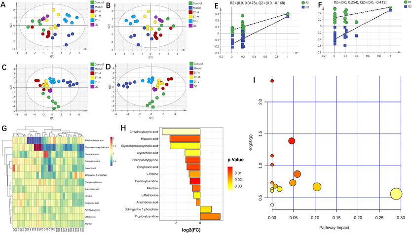 Serum metabolomics. (A and C) PCA was conducted on data obtained in positive and negative ion modes of electrospray ionization (ESI); (B and D) PLS-DA was conducted on data obtained in positive and negative ion modes of ESI (n = 6); (E and F) permutation test analysis of positive and negative ion mode data; (G) heatmap and cluster analysis for potential biomarkers; (H) FC chart (ST-H vs. model group); (I) bubble chart (ST-H vs. model group).