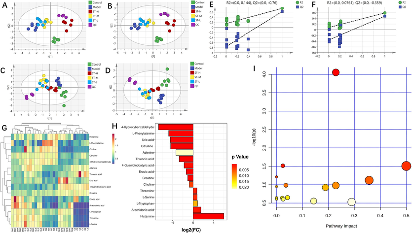 Spleen metabolomics. (A and C) PCA was conducted on the data obtained in positive and negative ion modes of ESI; (B and D) PLS-DA was conducted on data obtained in positive and negative ion modes of the ESI (n = 6); (E and F) permutation test analysis of positive and negative ion mode data; (G) heatmap and cluster analysis for potential biomarkers; (H) FC chart (ST-H group vs. model group); (I) bubble chart (ST-H group vs. model group).