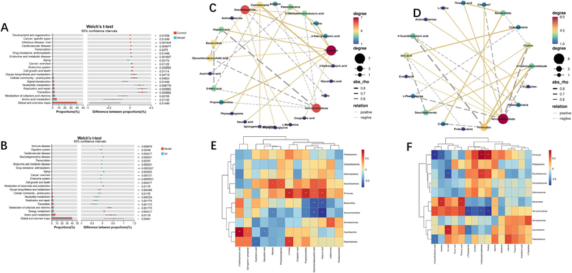 Functional prediction of altered gut microbiota by PICRUSt2 analysis based on KEGG pathways at level II in rats. (A) Control group vs. model group; (B) model group vs. ST-H group. Spearman correlation heatmap between the concentration of serum metabolites and the relative abundance of microbial phyla in the ST-H group (C and E); spleen metabolites and the relative abundances of microbial phyla in the ST-H group (D and F). R values are represented by gradient colours, where red and blue cells indicate positive and negative correlations, respectively; * p < 0.05, ** p < 0.01.